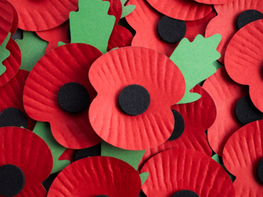 Close up photo of paper poppy flowers for remembrance day.