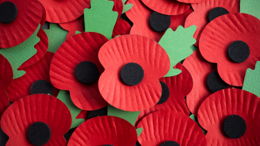 Close up photo of paper poppy flowers for remembrance day.
