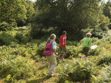 Photo of children walking on a trail.