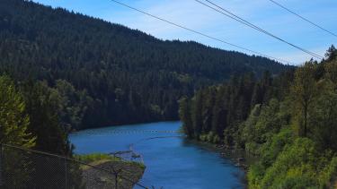 Photo of a river surrounded by trees on either side.